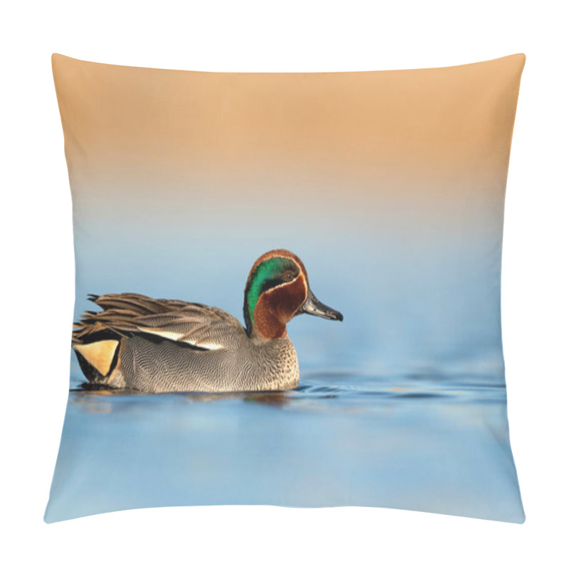 Personality  Eurasian Teal ( Anas Crecca ) Male Close Up In Sunrise Light Pillow Covers