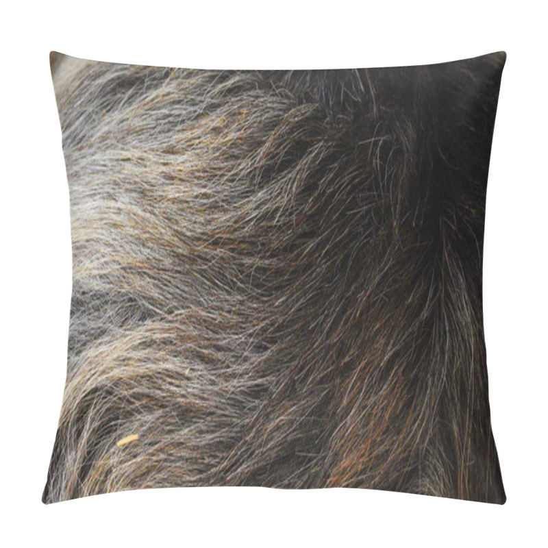 Personality  Background And Texture Of Animal Fur. Extreme Close-up Of Goat's Fur. A Fluffy, Soft Warm Coat Protects This Farm Animal From The Cold. Beautiful Shades Of Grey, Brown, White And Cream Pillow Covers