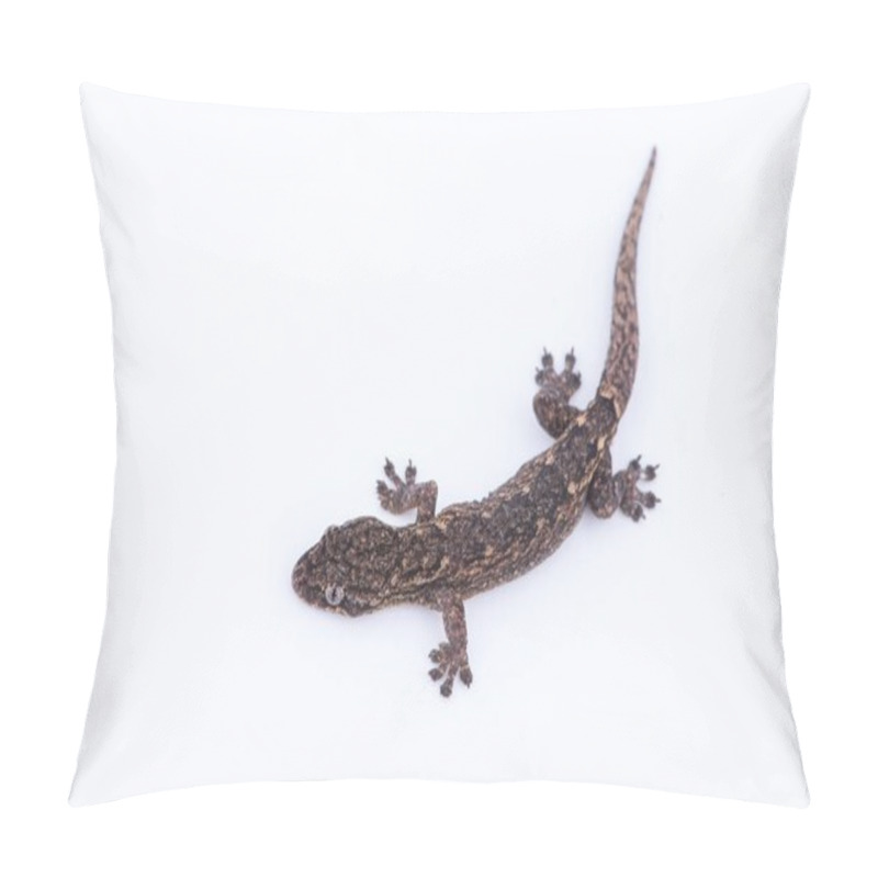 Personality  Small Lizard On White Background. Reptiles Found In Nature,Thail Pillow Covers