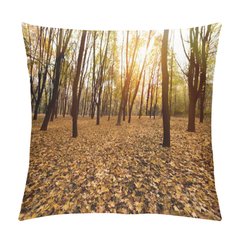 Personality  Autumn Park On Evening Pillow Covers