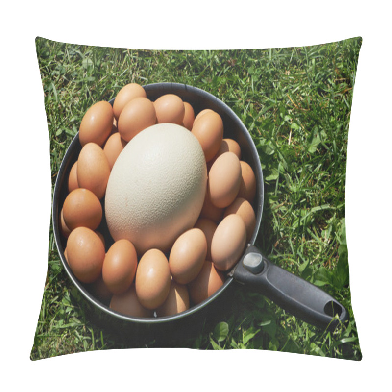 Personality  Chiken Eggs And Ostrich Egg On Pan Pillow Covers