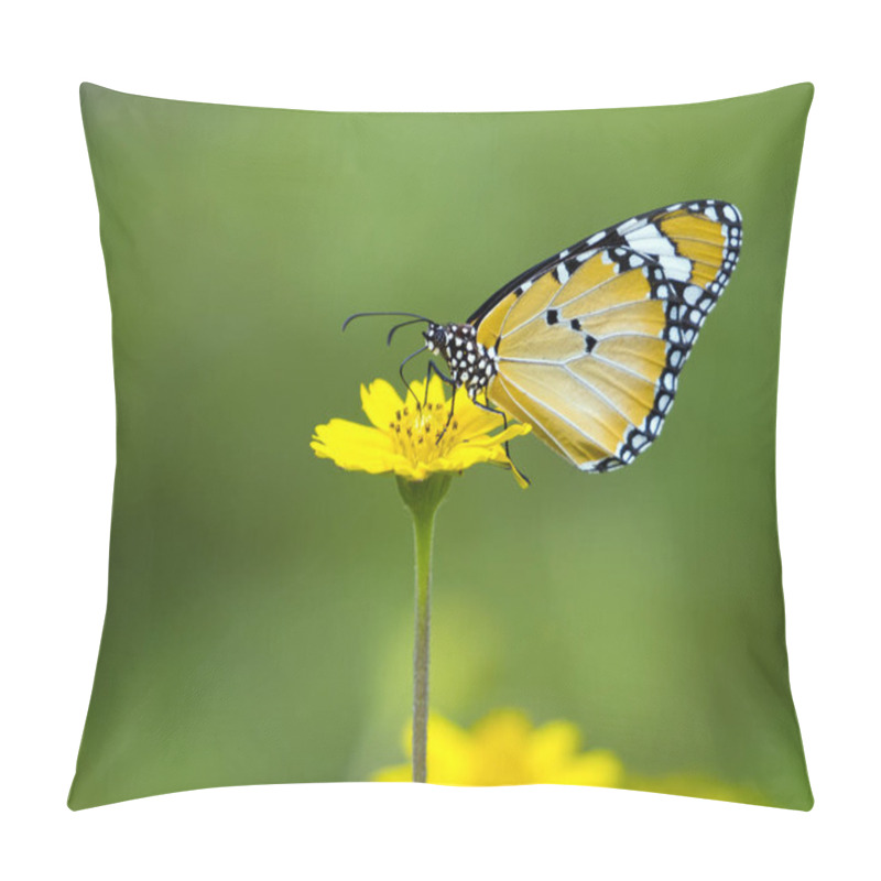 Personality  Image Of Butterfly On Flower On Nature Background. (Common Tiger Pillow Covers