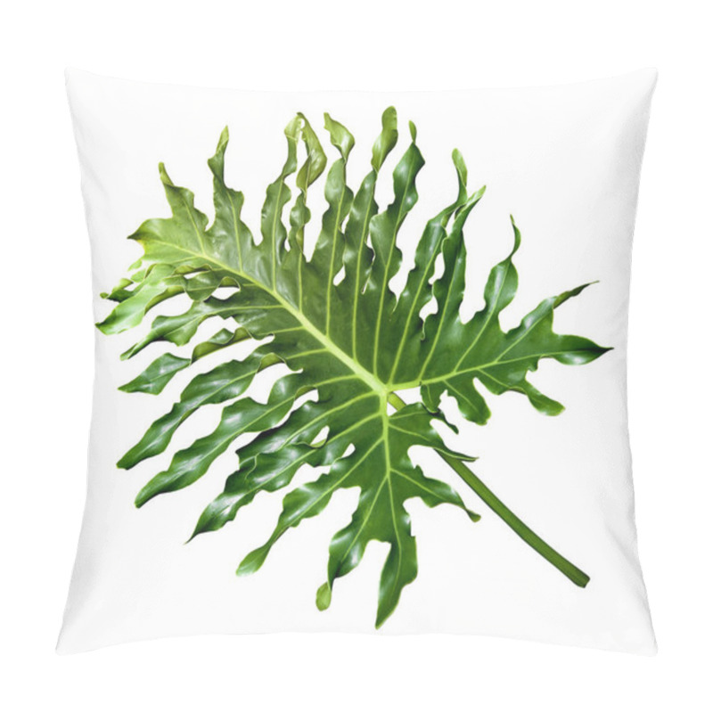 Personality  Tropical Philodendron Leaf Isolated On White Pillow Covers