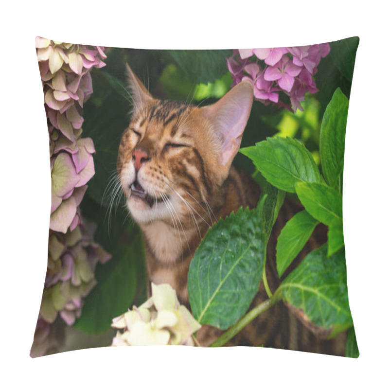 Personality  Beautiful Young Bengal Cat In The Garden Pillow Covers