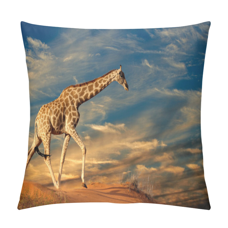 Personality  Giraffe On Sand Dune Pillow Covers