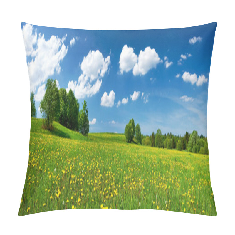 Personality  Field With Dandelions And Blue Sky Pillow Covers