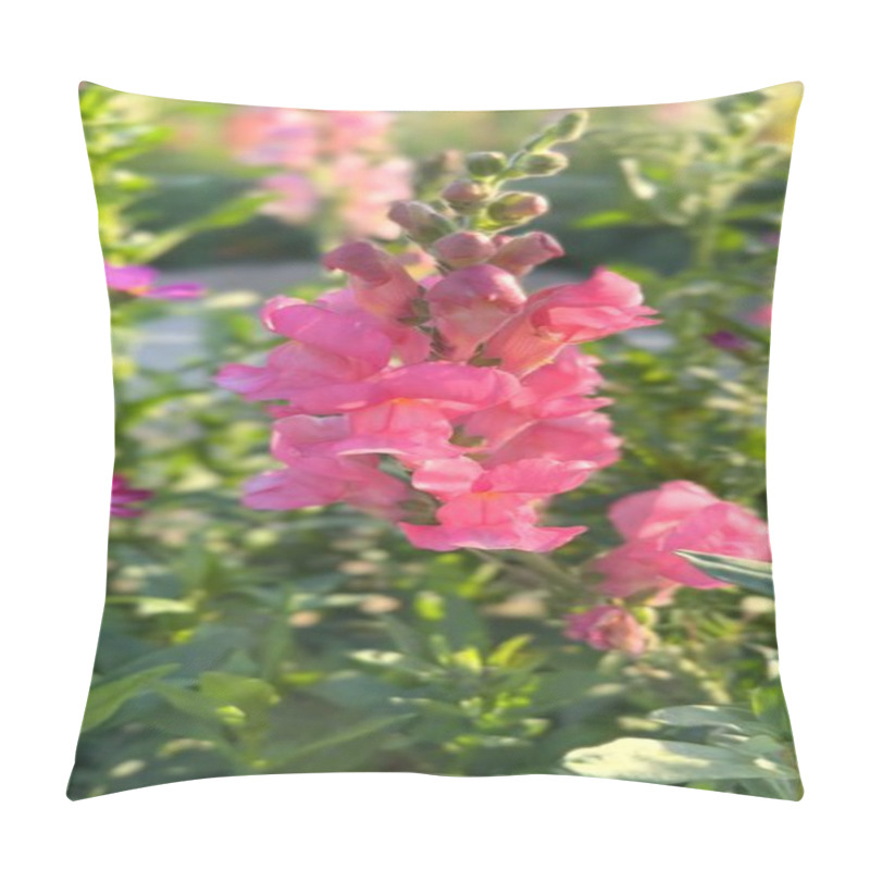 Personality  Flowers Blooming In BioFarms Attract Diverse Pollinators, Emphasizing Biodiversity. BioFarms Showcase Sustainable Practices Through Flowers And Pollinators. Balance Concept. Pillow Covers