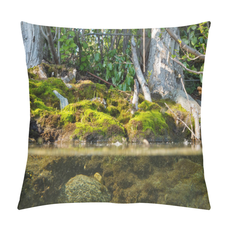 Personality  Riparian Habitat Ecosystem Of Forest Lake Shore Pillow Covers