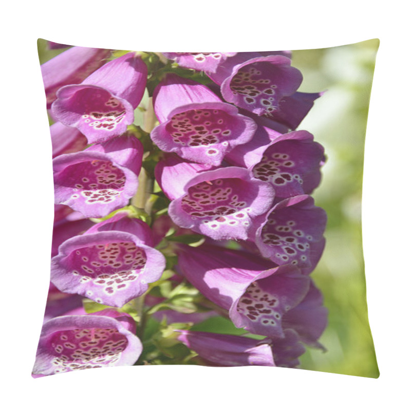 Personality  Purple Foxglove Pillow Covers