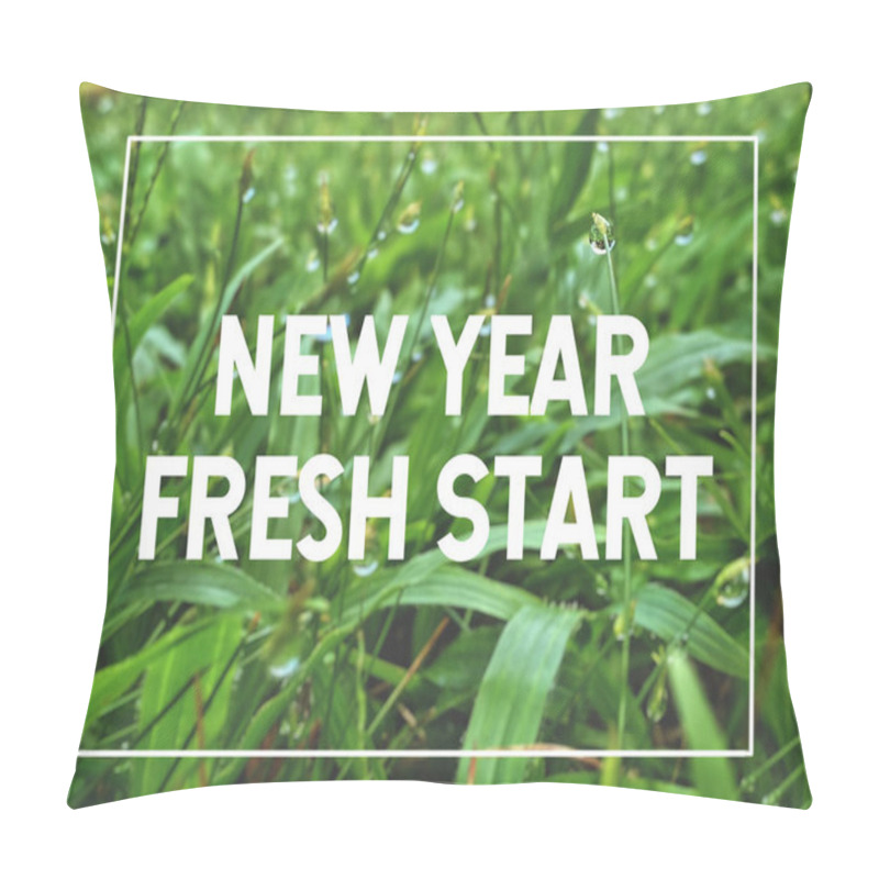 Personality  Inspirational Concept - NEW YEAR FRESH START Text Background. Stock Photo. Pillow Covers