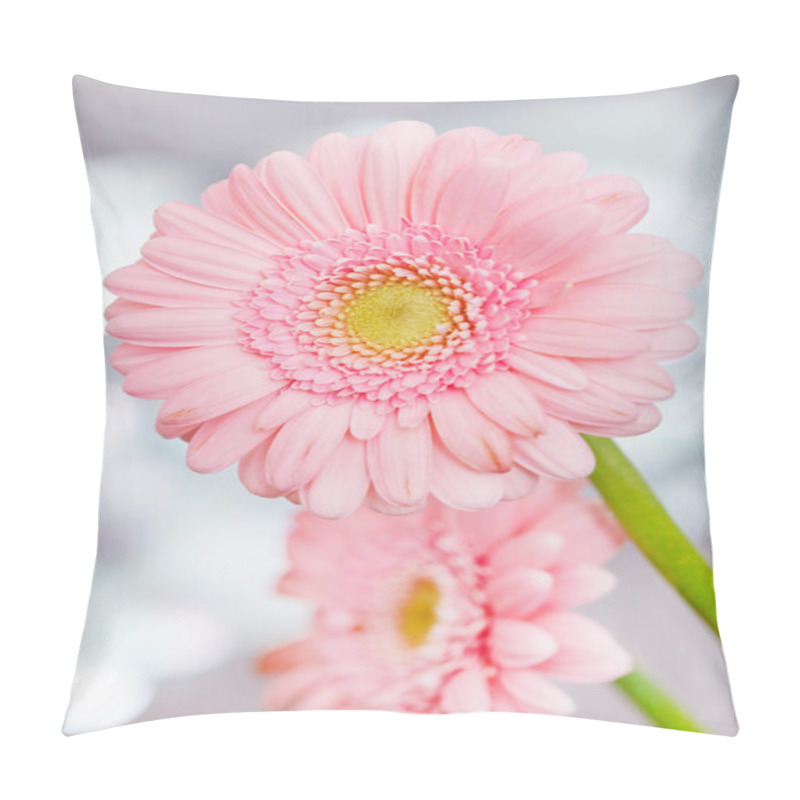 Personality  Beautiful Spring Flowers Pillow Covers