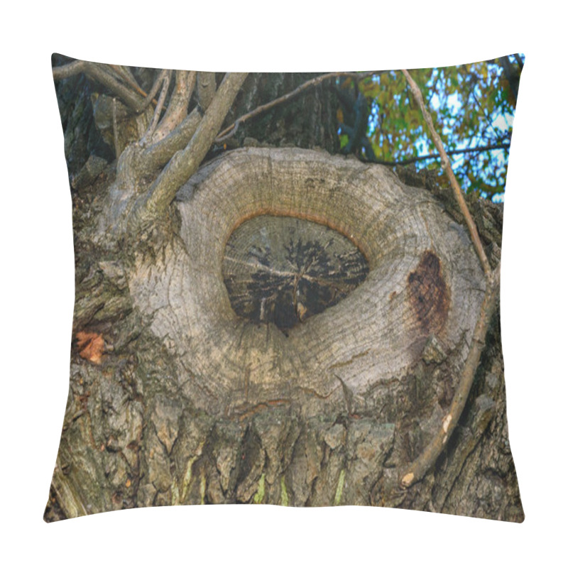 Personality  Overgrown Cut Of A Branch On The Trunk Of An Old Tree, Texture Of Tree Bark Pillow Covers