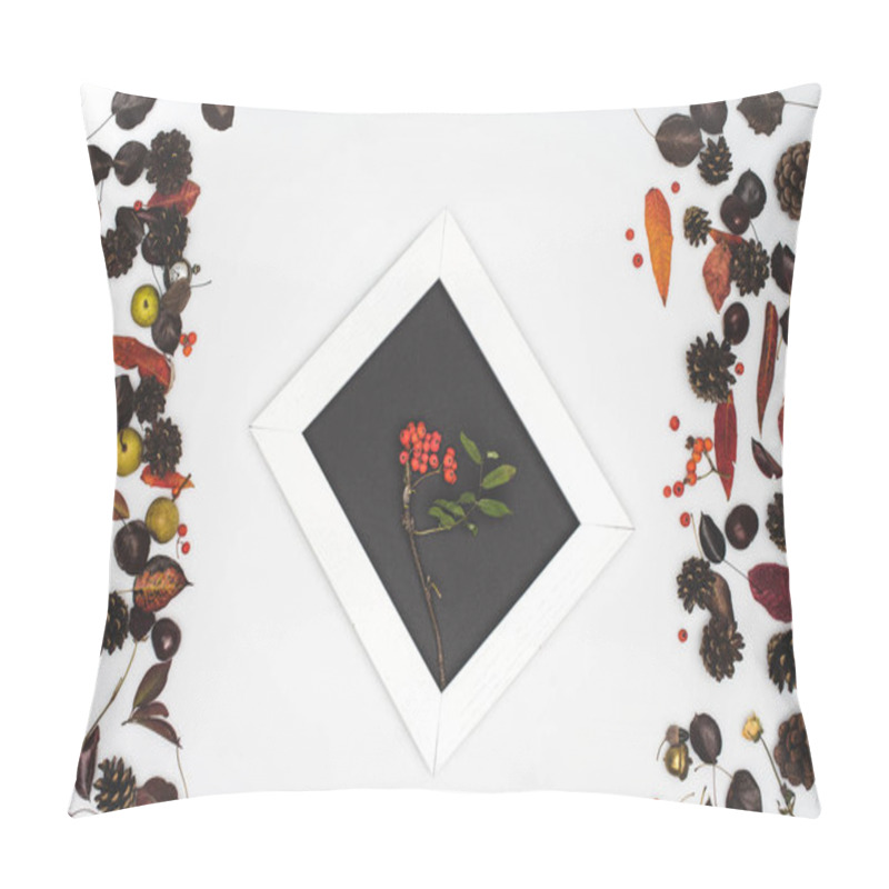 Personality  Rowan Berries In Frame Pillow Covers