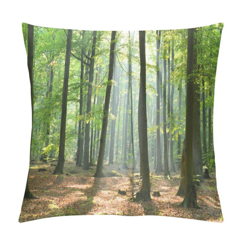 Personality  Beautiful Morning In Forest Pillow Covers