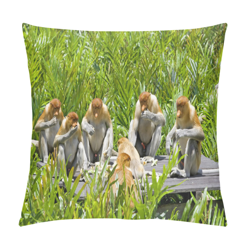 Personality  Proboscis Monkey Pillow Covers