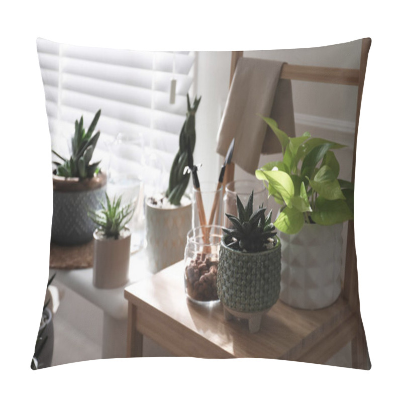 Personality  Beautiful Potted Houseplants Near Window At Home Pillow Covers