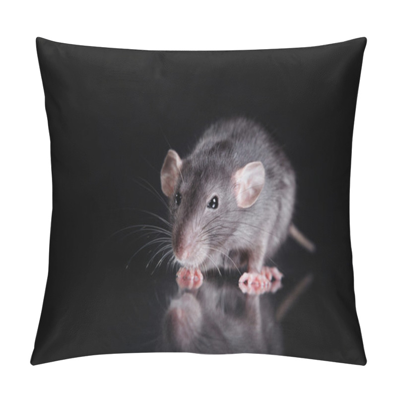 Personality  Brown  Domestic Rat On A Black Background Pillow Covers