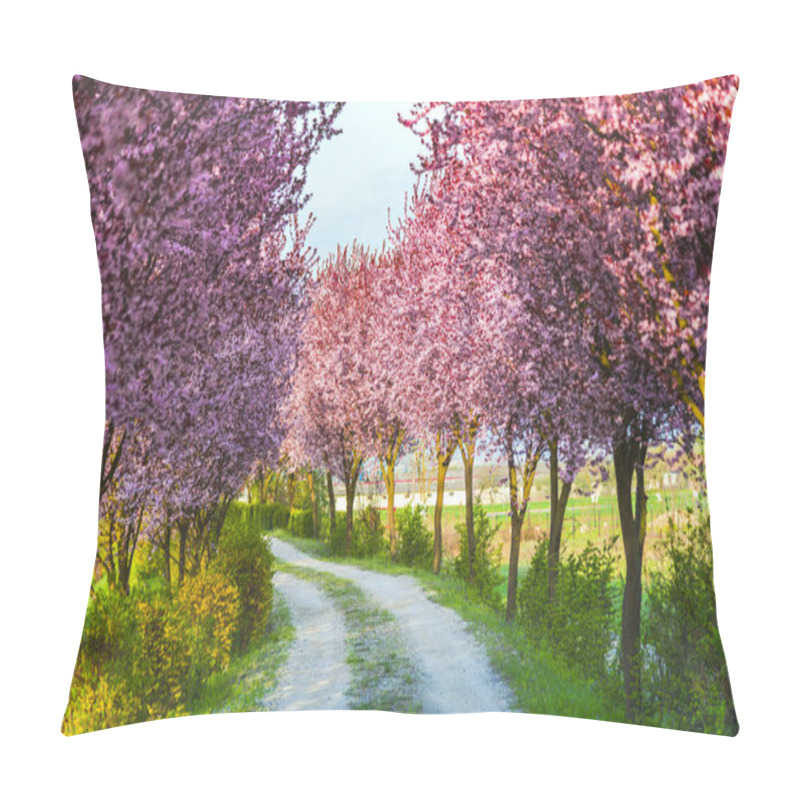 Personality  Garden With Blooming Sakura Trees In Spring Pillow Covers