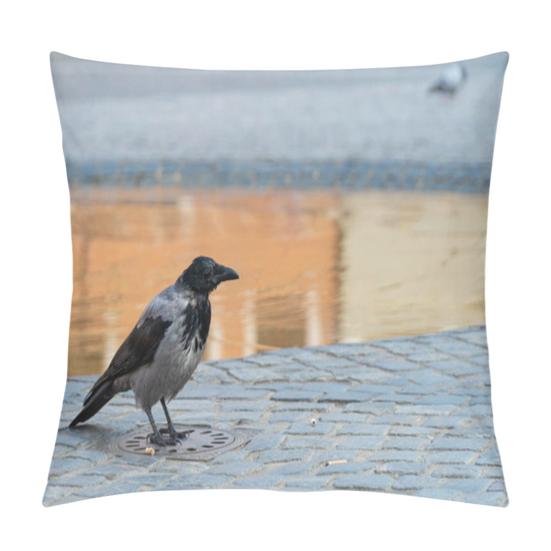 Personality  Crow Among Cigarette Butts Pillow Covers