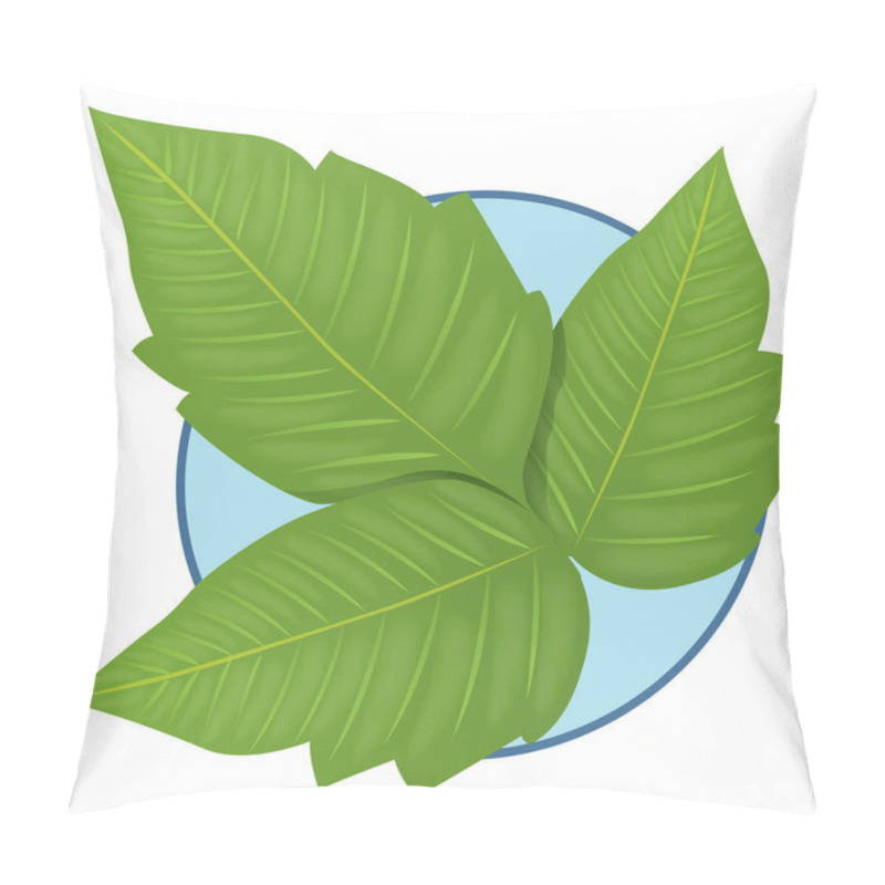 Personality  Illustration Representing Nature Plant Poison Ivy  Pillow Covers