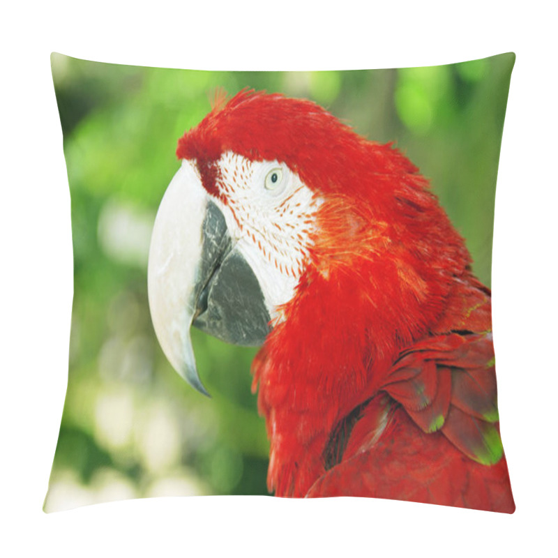 Personality  Red Parrot Or Macaw Pillow Covers