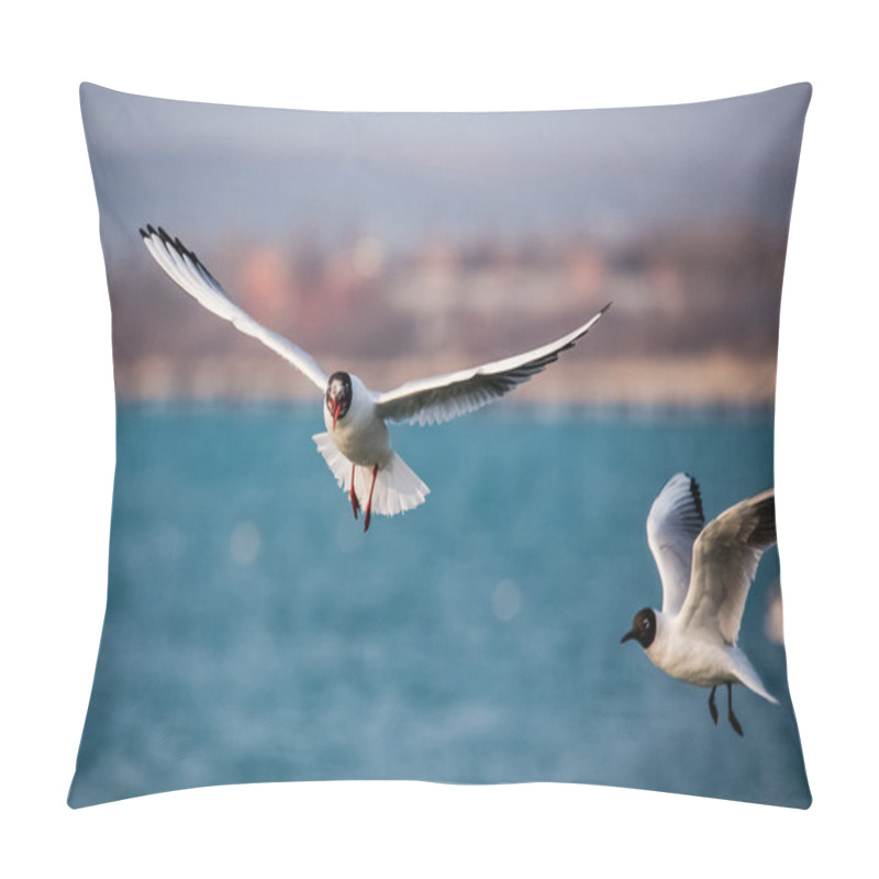 Personality  Swans And Other Waterfowls On The Sea Pillow Covers