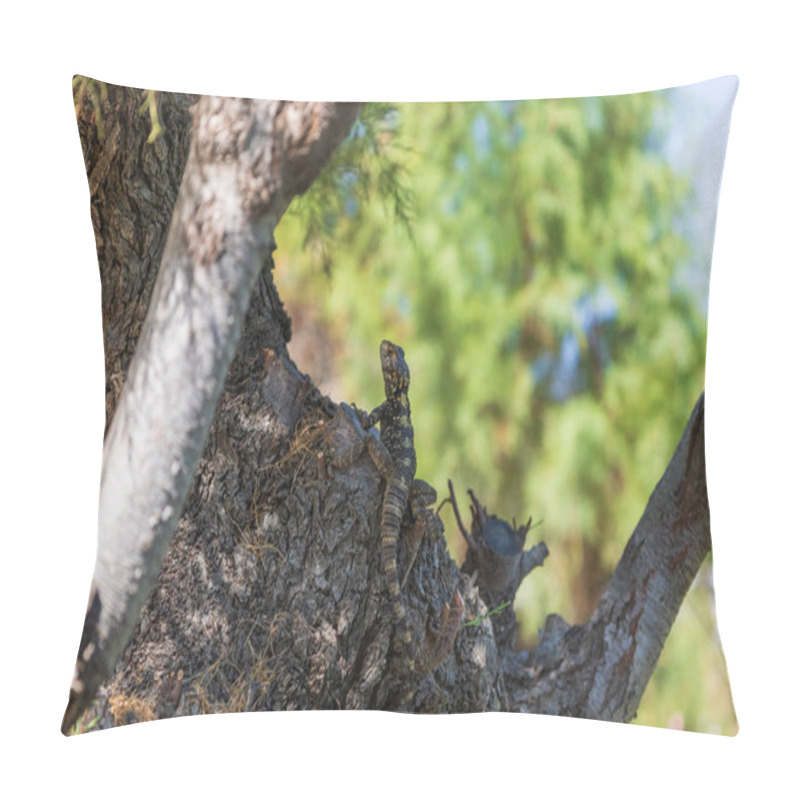 Personality  Small Lizard Among The Stones On The Beach Pillow Covers