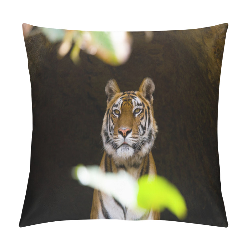 Personality  One Wild Tiger. Pillow Covers