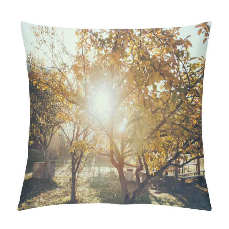 Personality  Sun Shining Through Autumnal Golden Tree In Garden, Carpathians, Ukraine Pillow Covers