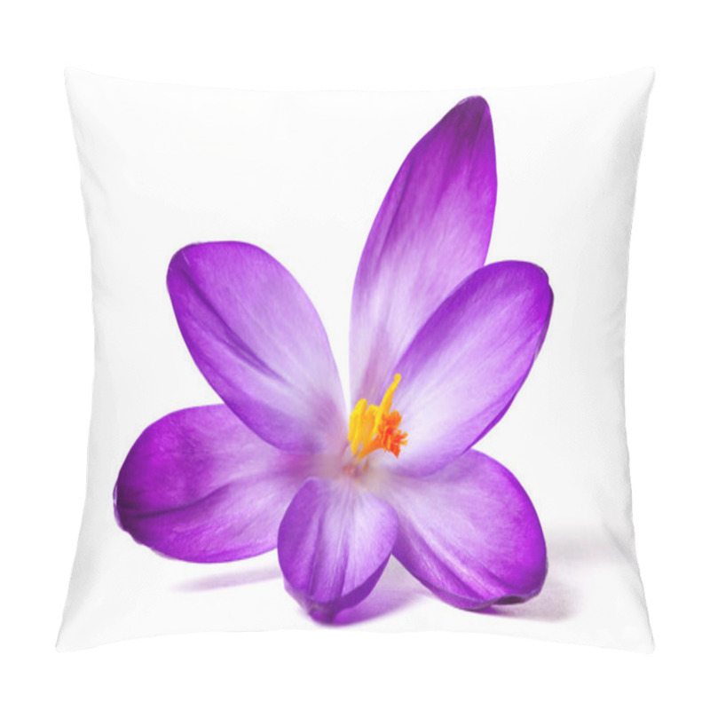 Personality  First Spring Flowers, Crocus Pillow Covers