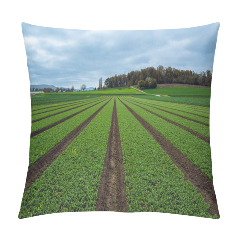 Personality  Neatly Planted Rows Of Green Crops Cover The Expansive Farmland, With Cloudy Skies And Rolling Hills Creating A Peaceful Countryside Scene Pillow Covers