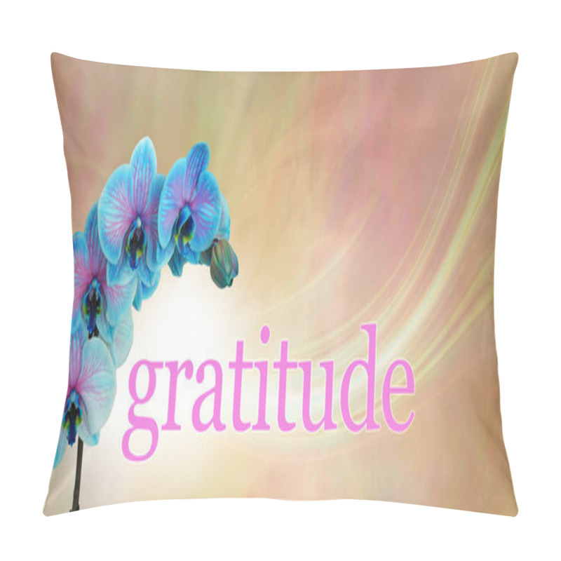 Personality  Blue Orchid Floral Gratitude Message  Banner - Blue And Pink Orchid Flower Heads Arcing Over The Word GRATITUDE On A Peach  And Pink Background With Copy Space Above Pillow Covers