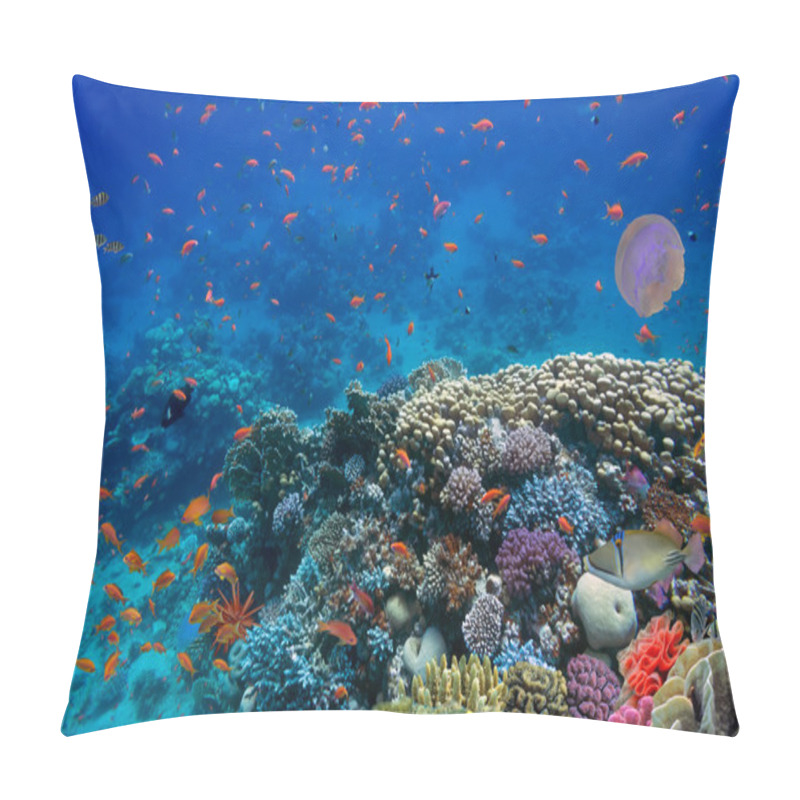 Personality  Tropical Fish And Hard Corals Pillow Covers