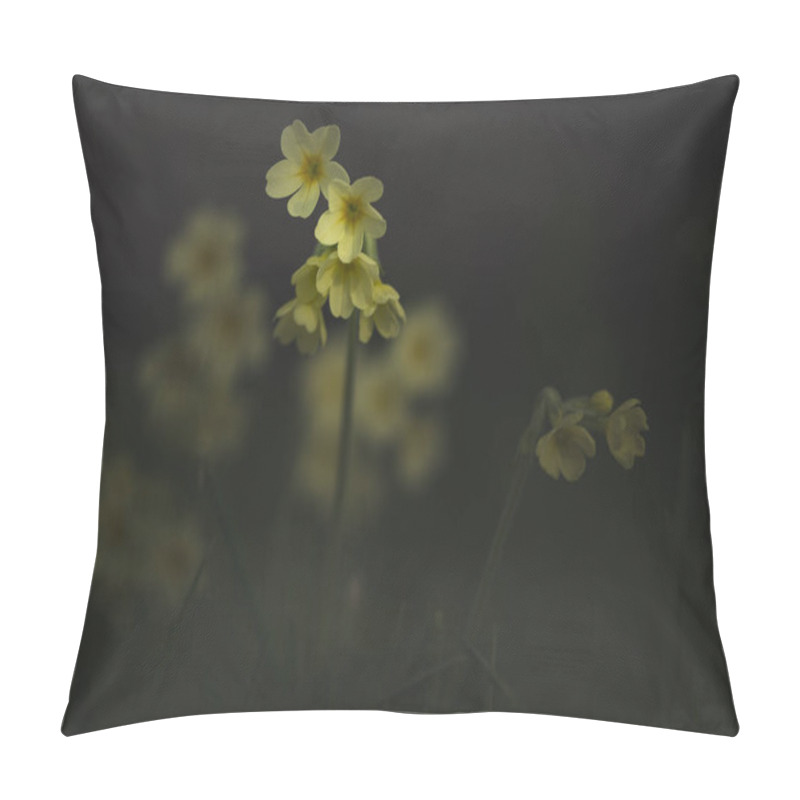 Personality  Close-up Of High Sky Key Primrose,primula Elatior In Full Bloom Pillow Covers