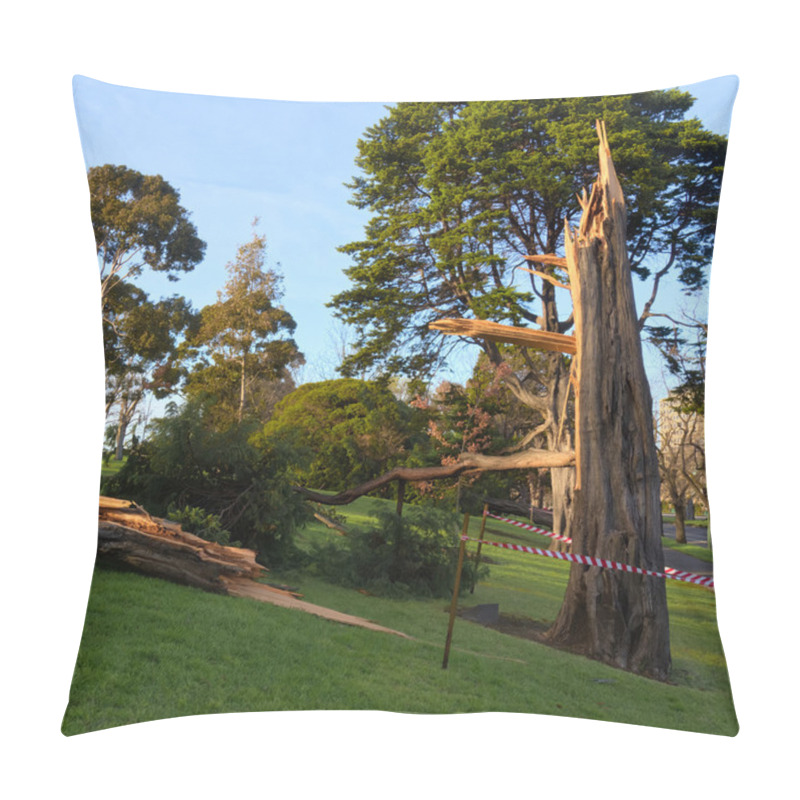 Personality  Tree Snapped In Half Pillow Covers