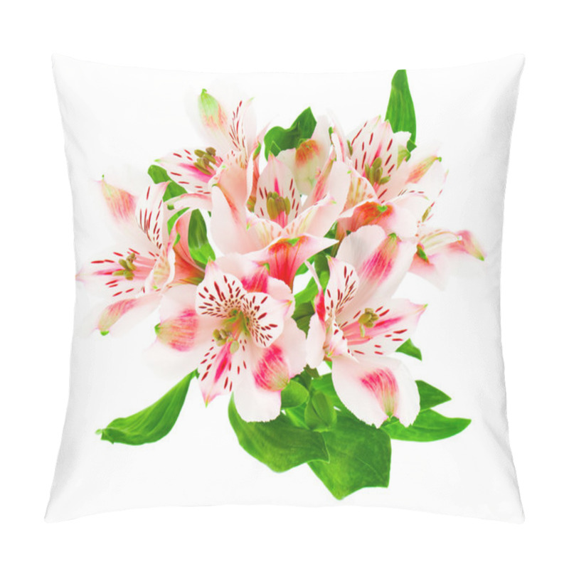 Personality  Alstroemeria Flowers Isolated On White Pillow Covers