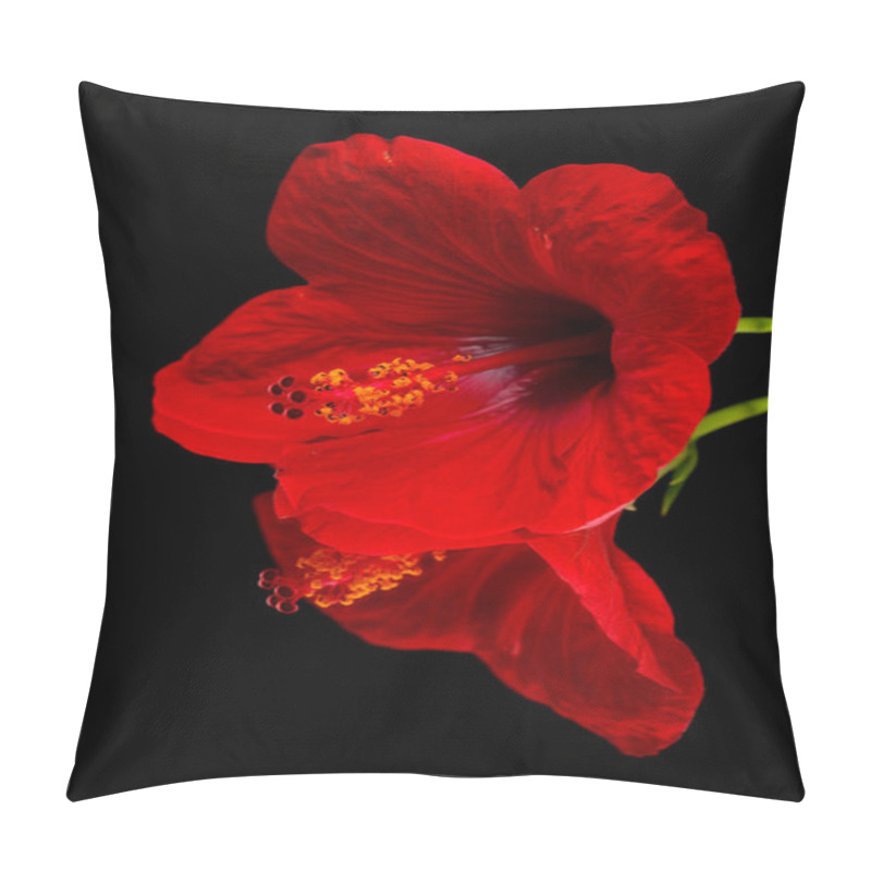 Personality  Red Hibiscus On Reflective Surface Isolated On Black Background Pillow Covers