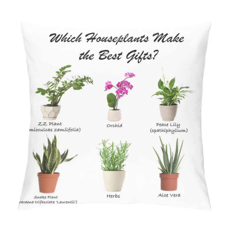 Personality  Set Of Different Houseplants On White Background. Best Gifts For Plant Lovers  Pillow Covers