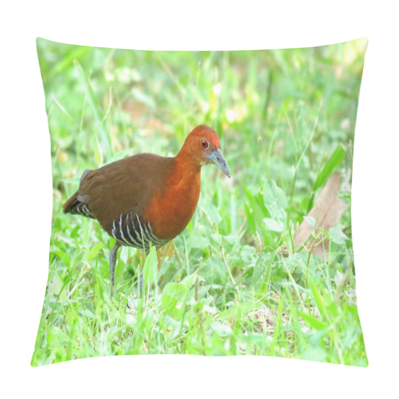 Personality  Beautiful Bird Slaty-legged Crake Pillow Covers