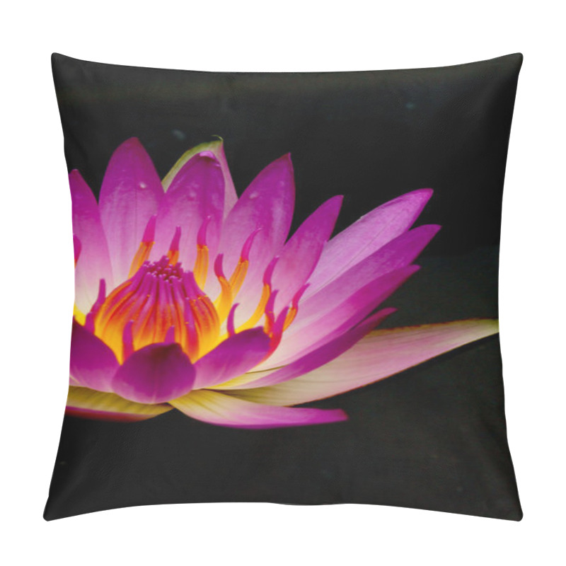 Personality  Pink Lotus Blossoms Or Water Lily Flowers Blooming On Pond Pillow Covers