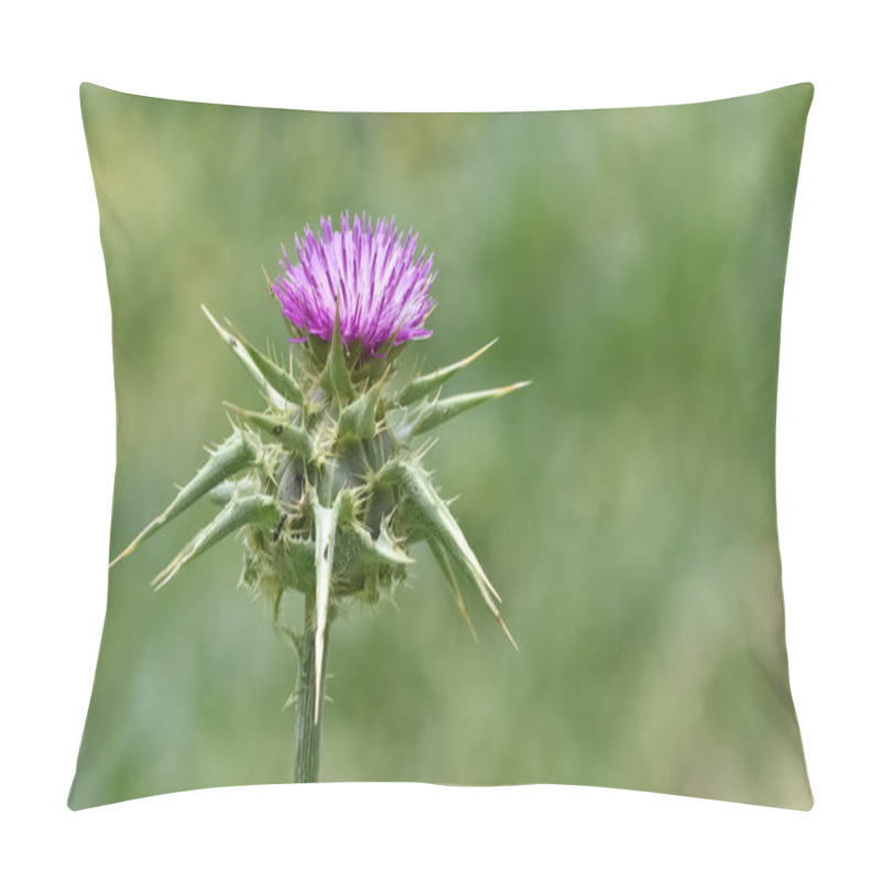 Personality  Natural Thorns And Gorgeous Thorn Photos Pillow Covers