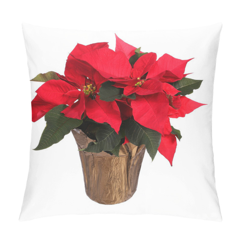 Personality  Red Poinsettia Flower Isolated On White. Christmas Flowers Pillow Covers