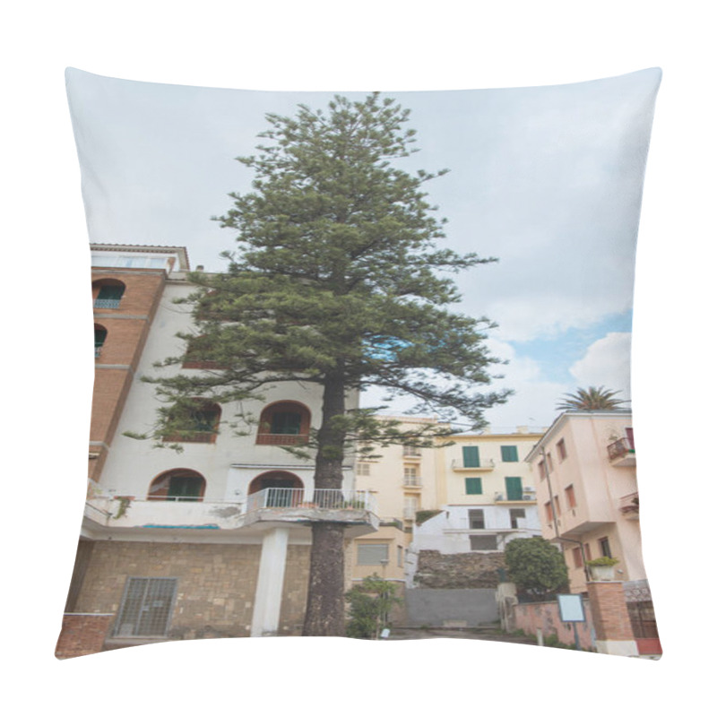 Personality  Bottom View Of Pine Growing In Front Of Old European Building, Anzio, Italy Pillow Covers