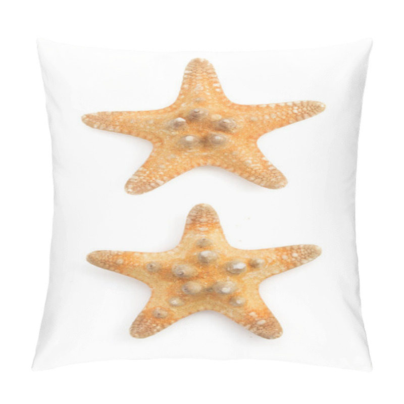 Personality  Seashells  On White Background Pillow Covers