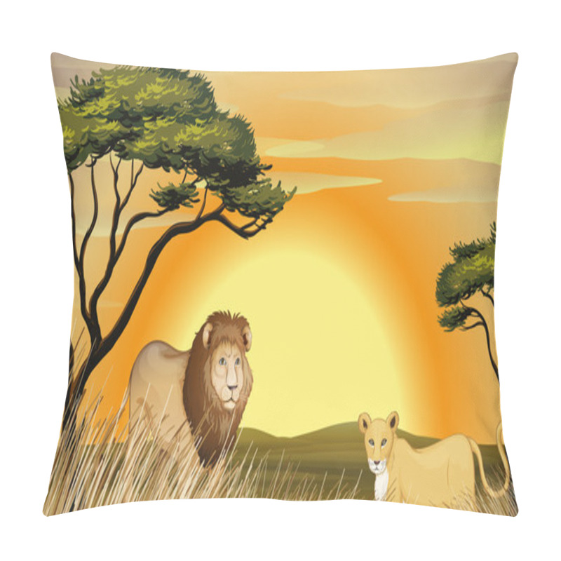 Personality  Tiger And Lion Pillow Covers