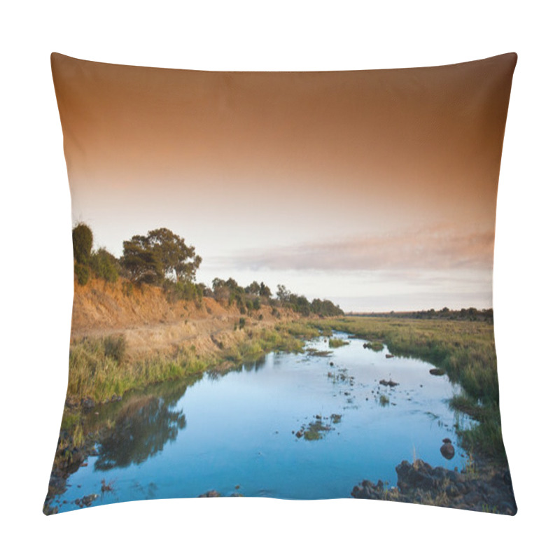 Personality  African Landscape In The Kruger National Park, South Africa Pillow Covers