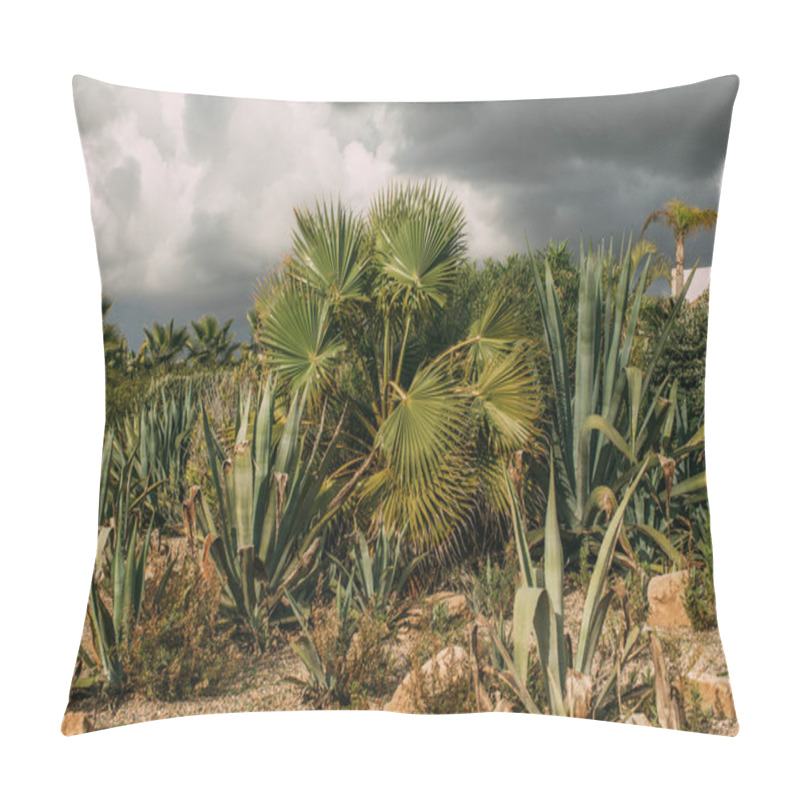 Personality  Green Palm Trees And Aloe Leaves Against Grey Cloudy Sky Pillow Covers