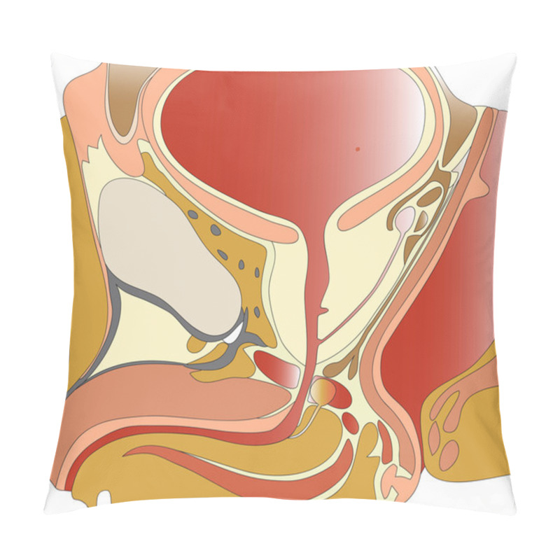 Personality  Prostate And Seminal Vesicles Pillow Covers