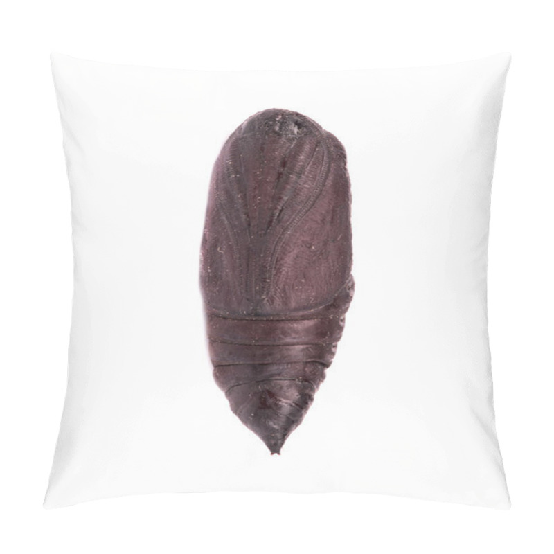 Personality  Crysalis Pillow Covers