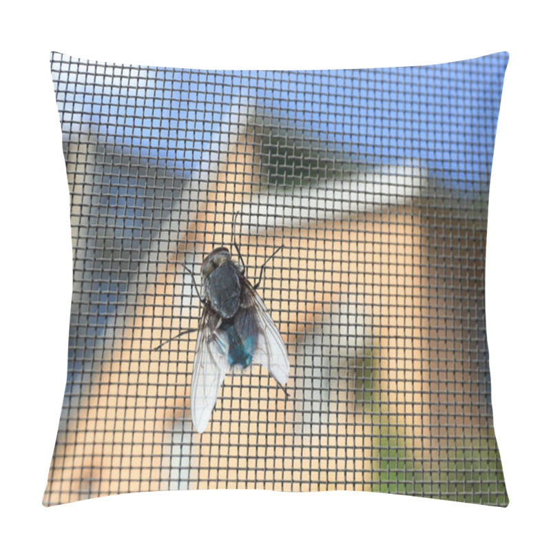 Personality  Fly On Window Screen Pillow Covers